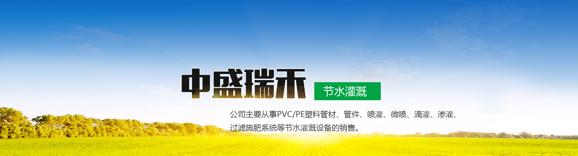 山東91视频在线節水（shuǐ）灌（guàn）溉有限公司（sī）